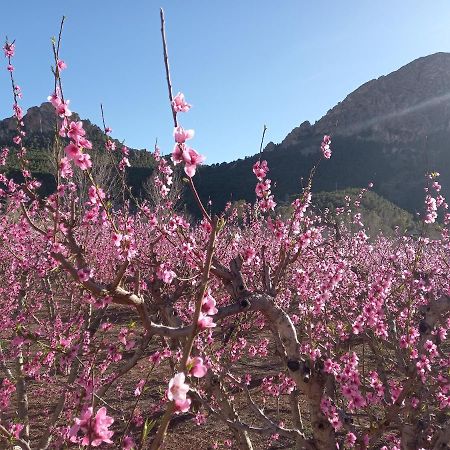 Apartamento Tranquilo Cerca De Zonas Verdes Cieza Extérieur photo