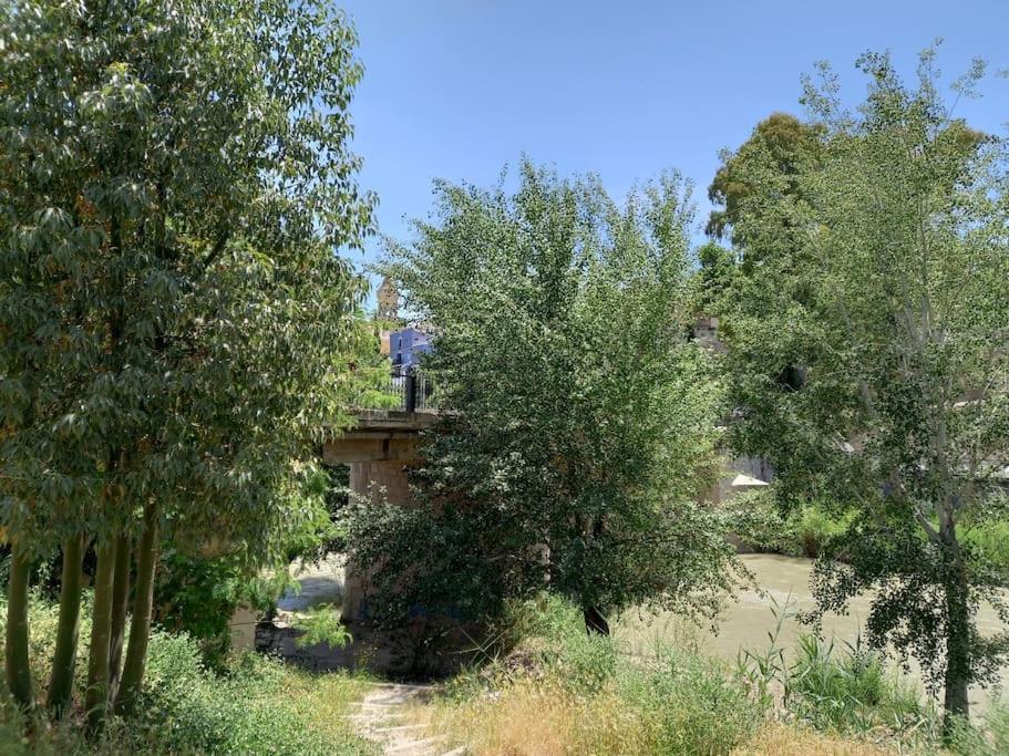 Apartamento Tranquilo Cerca De Zonas Verdes Cieza Extérieur photo