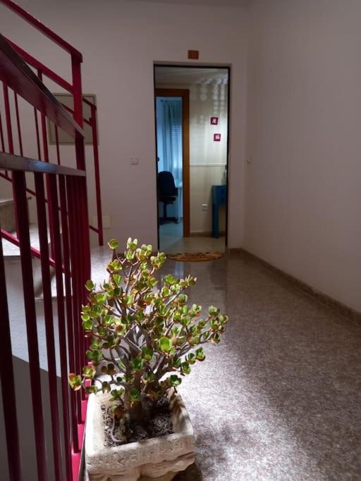 Apartamento Tranquilo Cerca De Zonas Verdes Cieza Extérieur photo