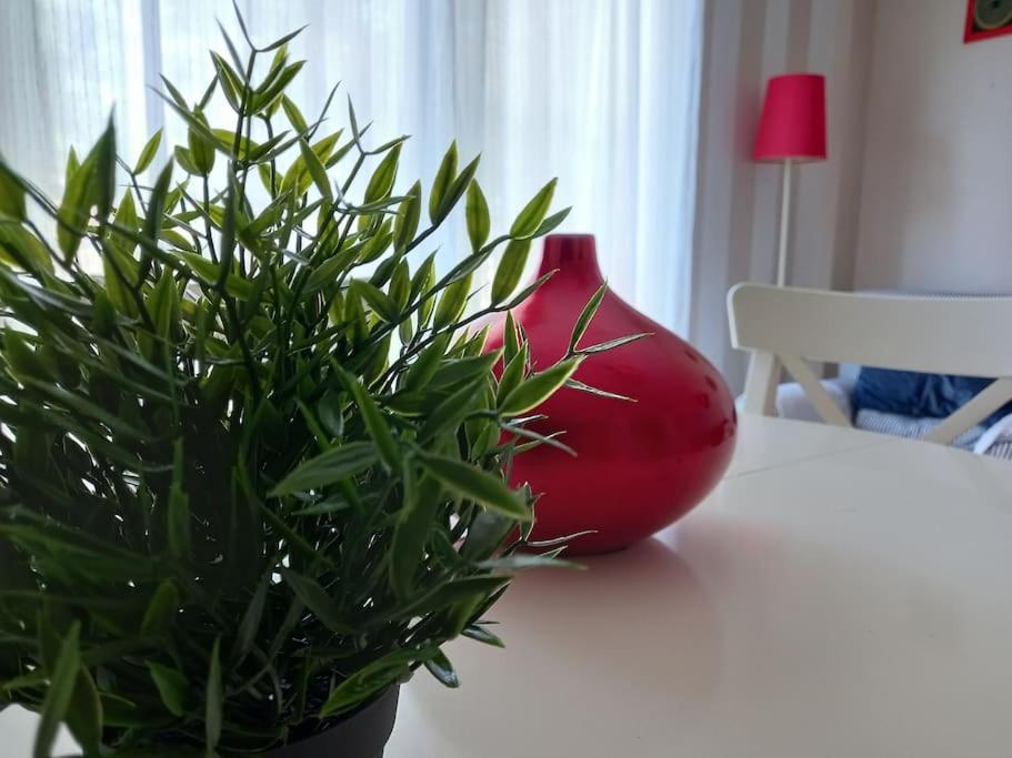 Apartamento Tranquilo Cerca De Zonas Verdes Cieza Extérieur photo