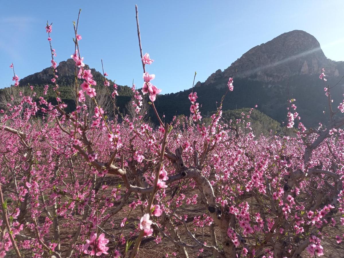 Apartamento Tranquilo Cerca De Zonas Verdes Cieza Extérieur photo